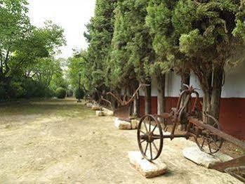 Hacienda La Vereda Montilla Bagian luar foto